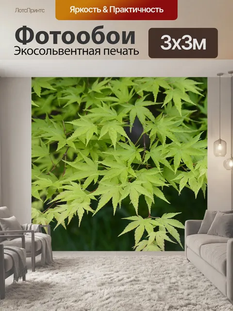 Фотообои Кленовые листья