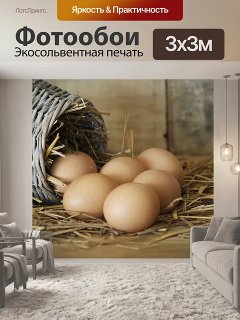 Фотообои Питание