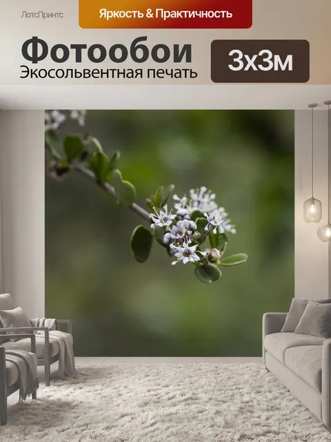 Фотообои Дерево Цветущие Белые Цветы