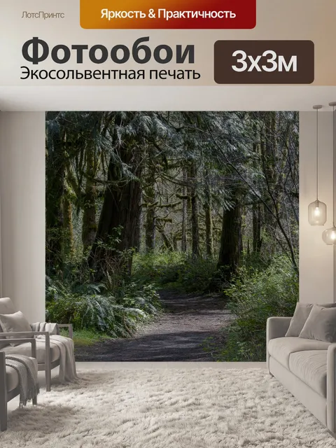 Фотообои Путь в лесу