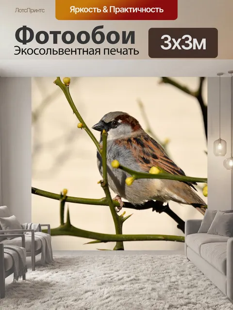 Фотообои Маленькая птичка