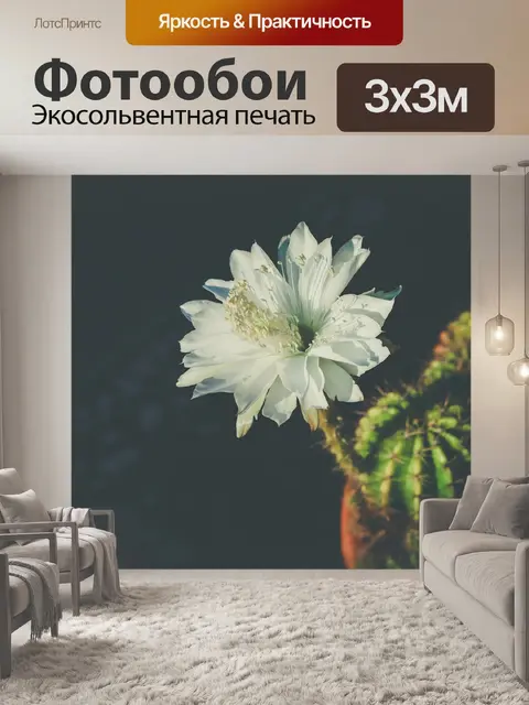 Фотообои Цветок