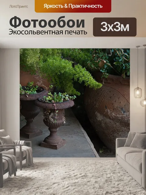 Фотообои Терракотовые горшки с растениями