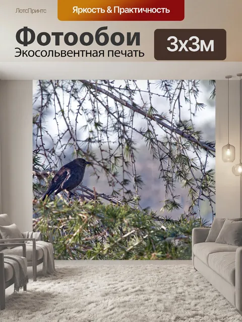 Фотообои Черная птица в дереве