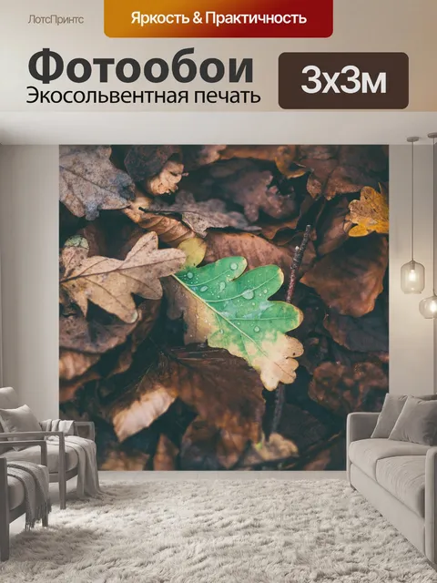 Фотообои Дубовые листья