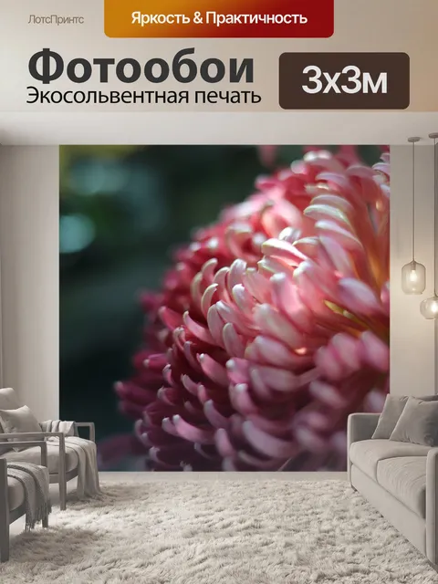 Фотообои Фиолетовый дейзи