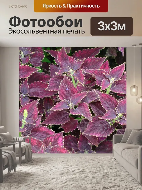Фотообои Красный Растения для сада
