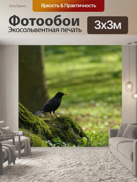 Фотообои Птица