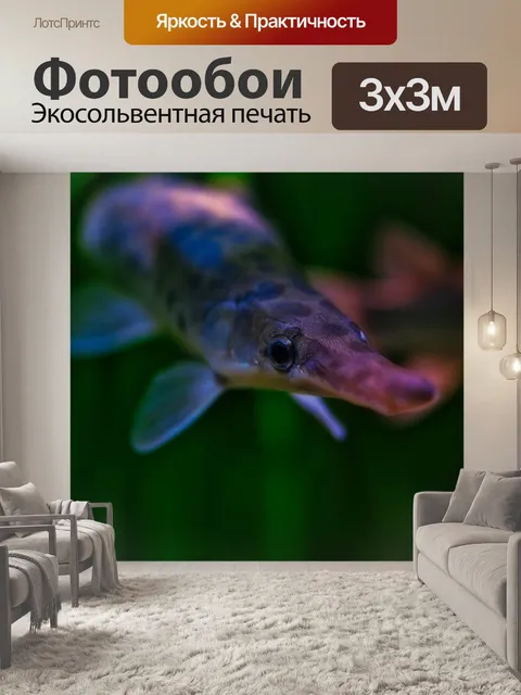 Фотообои Щука