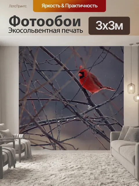 Фотообои Птица