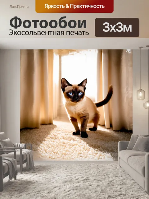 Фотообои сиамская кошка осторожно вышагивает по бежевому ковру