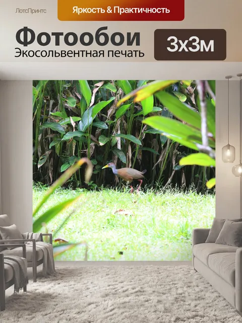 Фотообои Серая шея Деревянная шина
