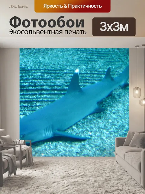 Фотообои Белая акула