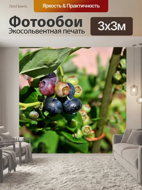 Фотообои черника
