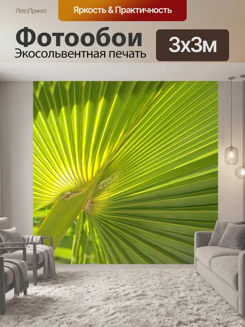 Фотообои Пальмовая ветвь