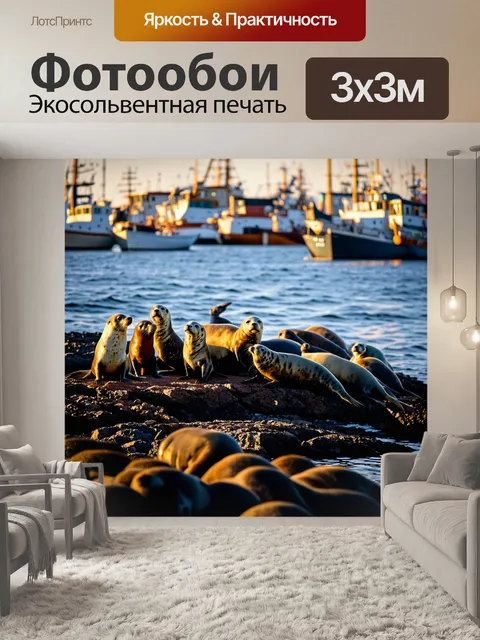 Фотообои гавань на закате, где тюлени собрали свои семьи на скалах, любуясь солнечными лучами