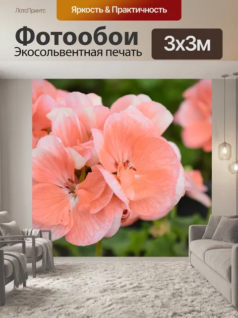 Фотообои Цветы