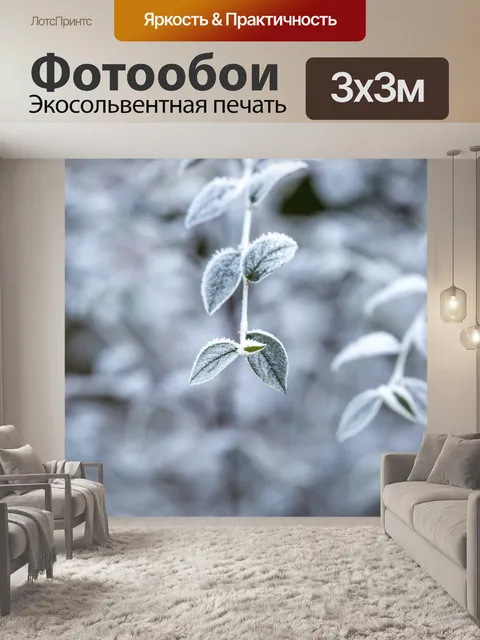 Фотообои Морозные зимние листья