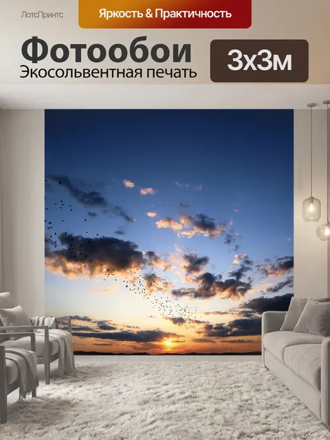 Фотообои Птицы