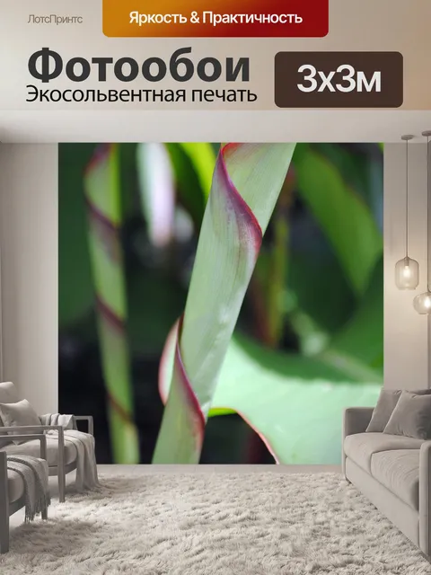Фотообои Лист
