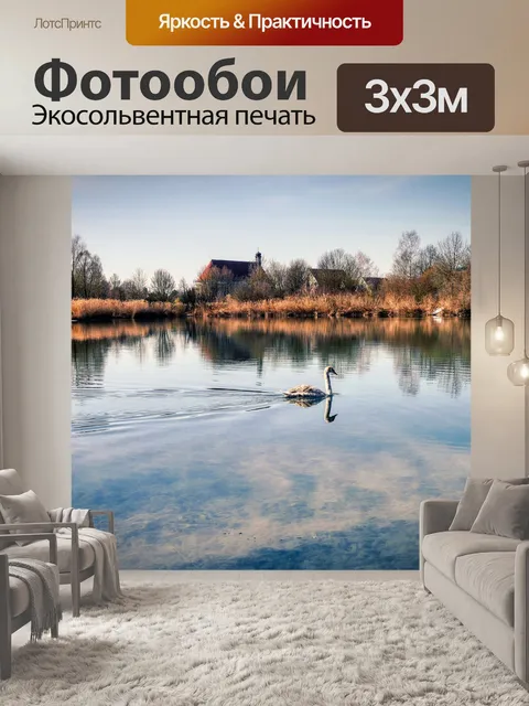 Фотообои Лебедь