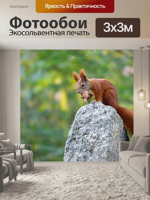 Фотообои Белка в саду