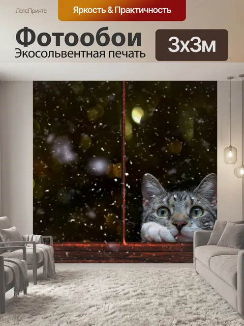 Фотообои Кот