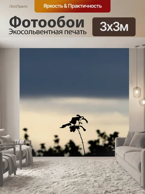 Фотообои Небо в слоях с силуэтами