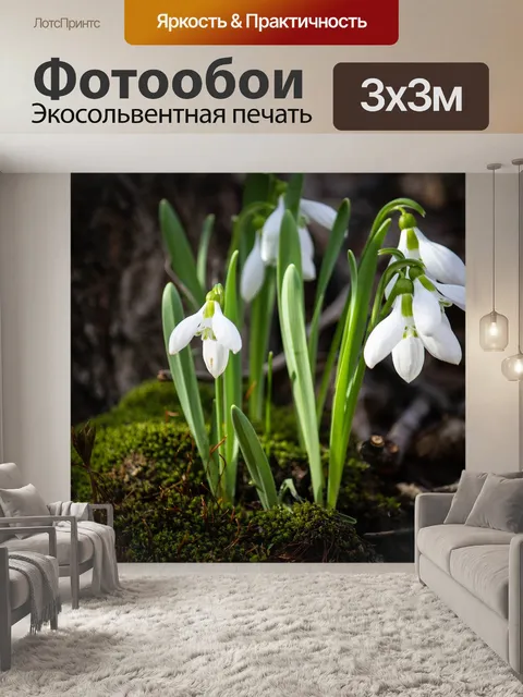 Фотообои Цветы
