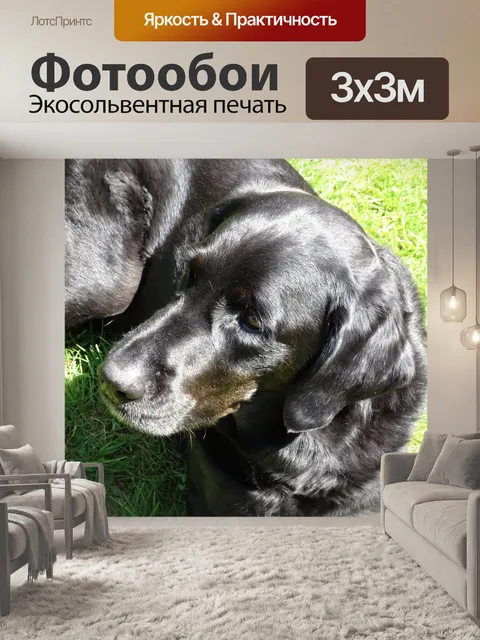 Фотообои Собачье мышление