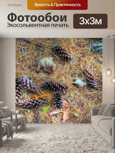 Фотообои Сосновый конус