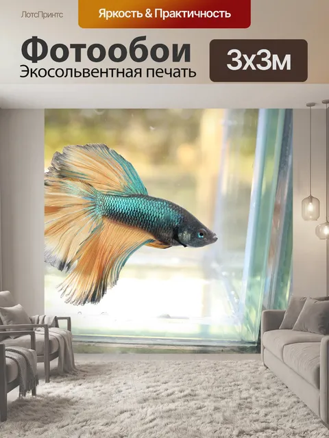 Фотообои Животное