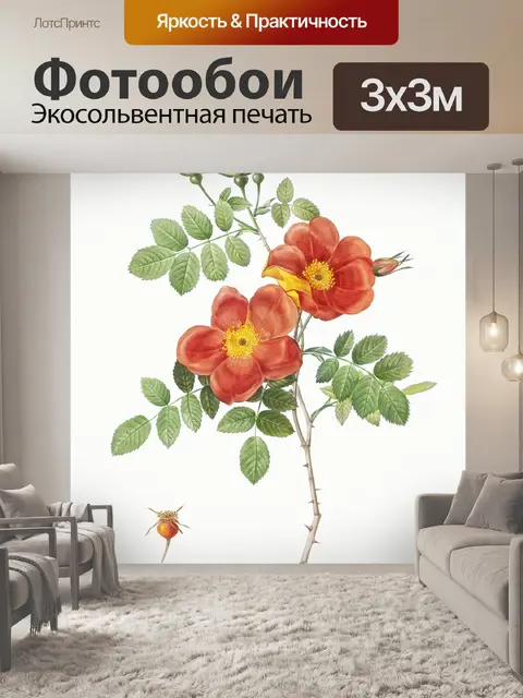 Фотообои Роза винтажное искусство старое