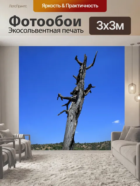 Фотообои сухой пень и голубое небо