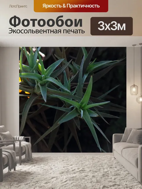 Фотообои зеленые колючие листья эпифита
