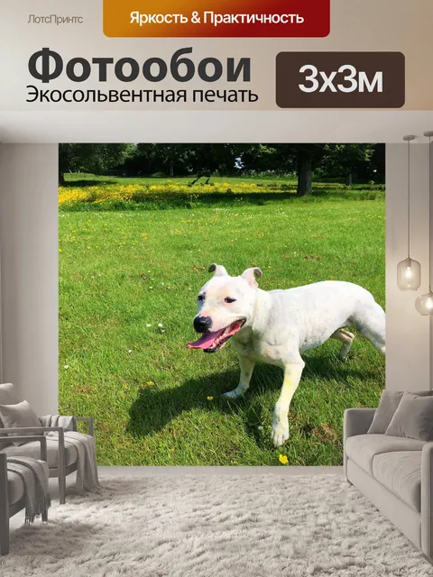 Фотообои Прогулка в парке