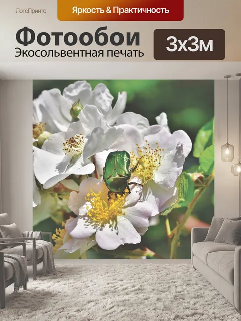 Фотообои Жук-роза