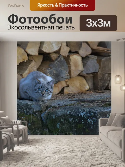 Фотообои Кошка