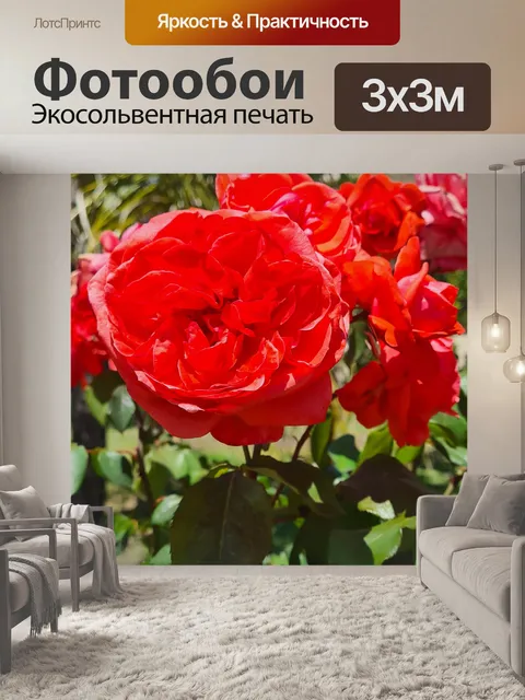 Фотообои Глубокая розовая бенгальская роза