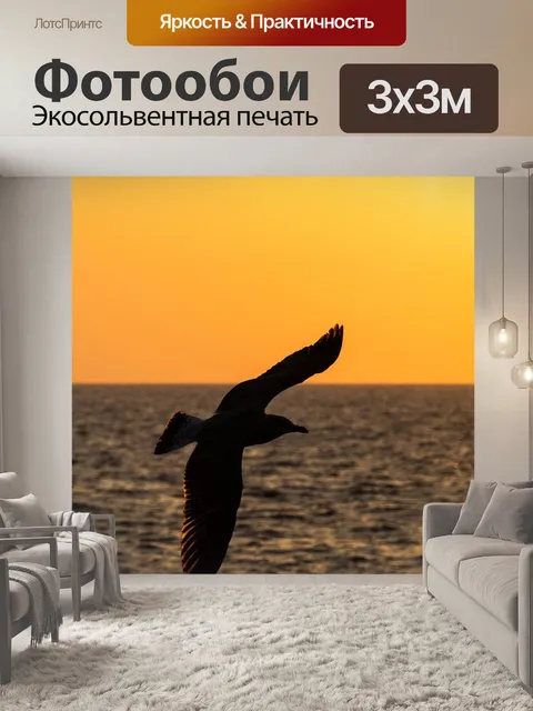 Фотообои Чайка
