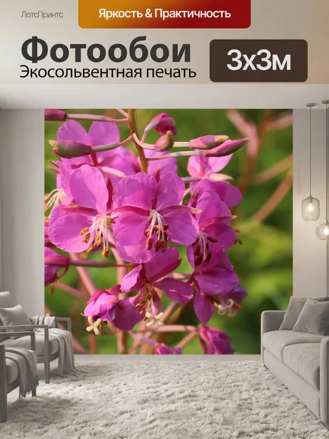 Фотообои Дикий цветок Фиолетовый Фиолетовый