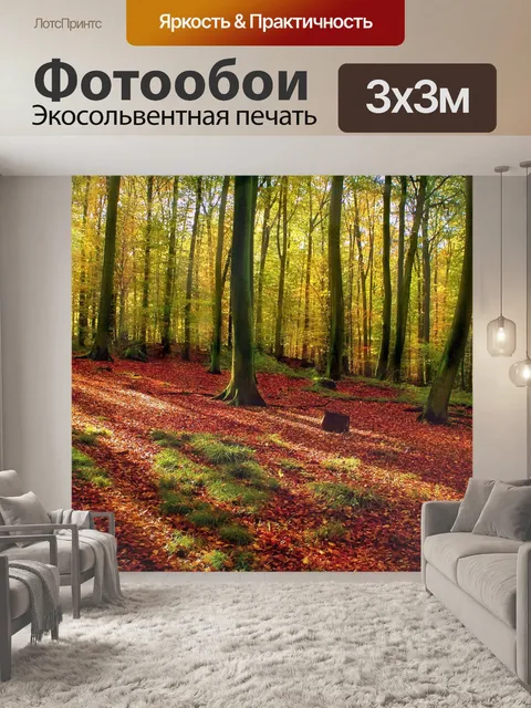 Фотообои Лес осенняя листва деревьев