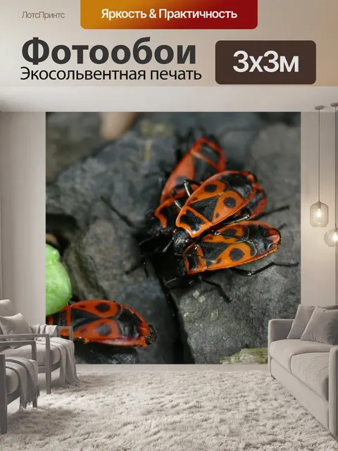 Фотообои Макрос
