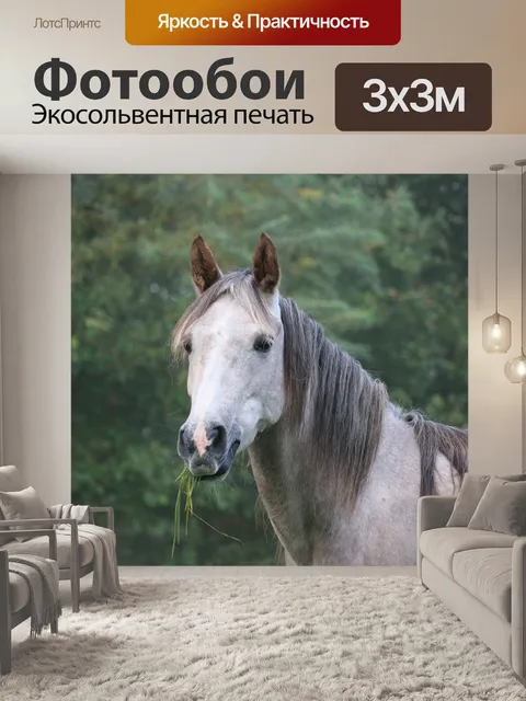 Фотообои Лошадь