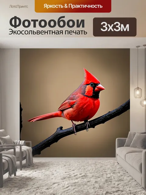 Фотообои красный кардинал на черной ветке, окруженный мягкими тенями