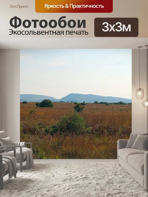 Фотообои свет на лугах Южной Африки