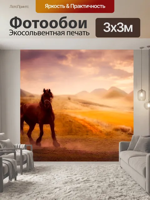 Фотообои Лошадь