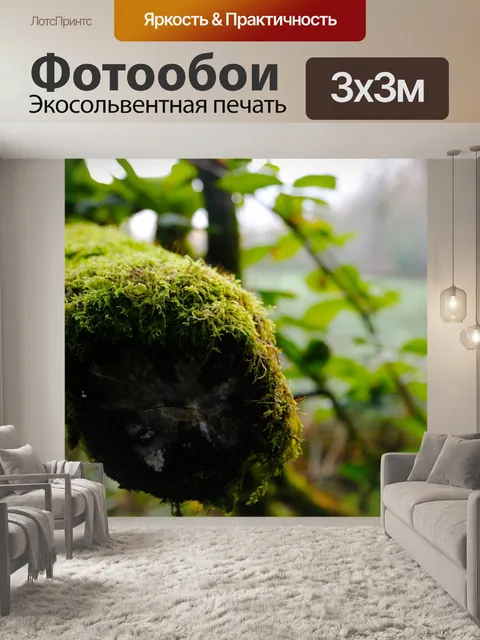 Фотообои Мох