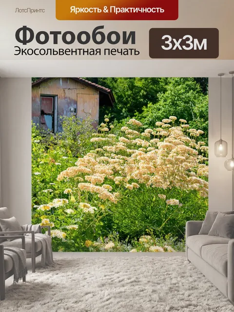 Фотообои бежевый цветочный сад с разнообразными растениями и кустами, на фоне старого заброшенного дома