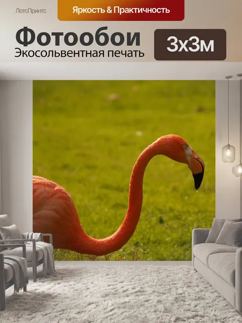 Фотообои Фламинго